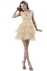 A-line Short Lace Tiered Organza Prom Dress/Party Dress 