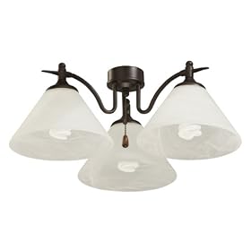 Click here to buy Emerson LK37BS Three-Light Banker Light Fixture, Three 9-Watt Medium Base Compact Fluorescent Bulbs, 14-Inch Wide,... by Emerson.
