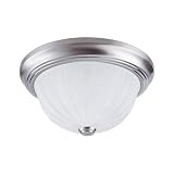 Westinghouse 64345 One-Light Flush Mount Ceiling Fixture, Brushed Nickel with Frosted Globe