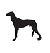 Hound Dog Pet Saluki Car Truck Vehicle Bumper Helmet Decal Sticker Wall Art Laptop Design Skin Stickers