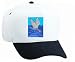 White Cap with ocean, fishing, bird, tern