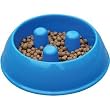 Brake-Fast Dog Food Slow Feed Bowl - Medium Blue