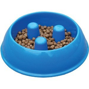 Brake-Fast Medium Dog Food Bowls