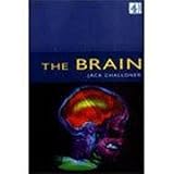 The brain