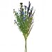 Wild flowers