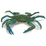 Incredible creatures: Blue Crab 31oYibejz4L. SL160 Incredible creatures: Blue Crab