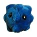 COMMON COLD GIANT MICROBE PLUSH