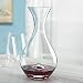 Wine Enthusiast U Wine Decanter