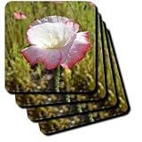white and red iceland poppy - Set Of 4 Ceramic Tile Coasters