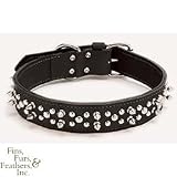 Coastal Pet Circle T Oak-Tanned Leather Double Spiked Dog Collar (Black, 26 inch L x 1 1/2 inch W)