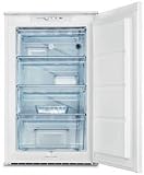 Built In Freezer (EUN12300)