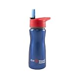 Eco Vessel Kids Insulated Stainless Steel Water Bottle with Flip Straw Top - Double wall thermos (13-Ounce)