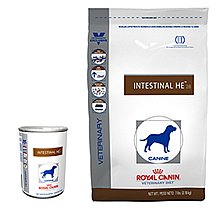 Royal Canin Canine Intestinal HE Dog Food 24 14 oz Cans