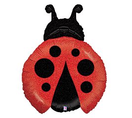Adorable Red and Black Lady Bug 27