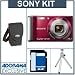 Sony Cyber-shot DSC-W370 Digital Camera Kit, - Red - with 4GB SD Memory Card, Camera Case, Table Top Tripod