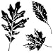 Inkadinkado Clear Mini Stamps, Leaves