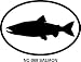 SALMON Oval Bumper Sticker