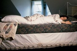 HealthPersonalCare: Core Products White Body Pillow Case