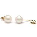 Pair of 7.5-8.0 mm, Round White "Freshadama" Freshwater Pearl Stud Earrings