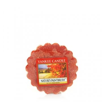 Yankee Candle Wax Potpourri Tart Nature's Paintbrush 