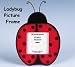 Decorative Ladybug Lady Bug Picture Frame For Home Decor