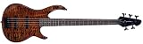 Peavey Millennium