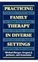 Practicing Family Therapy in Diverse Settings (Master Work)