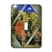 Susan Brown Designs Nature Themes - Fall Divided - Light Switch Covers - single toggle switch