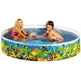 Color Reef Snapset Pool 6 ft by 15 inches