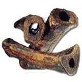 RedBarn Meaty Femur Bone Dog Chew 6 -