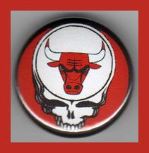 Chicago Bulls Grateful Dead 1 Inch Magnet