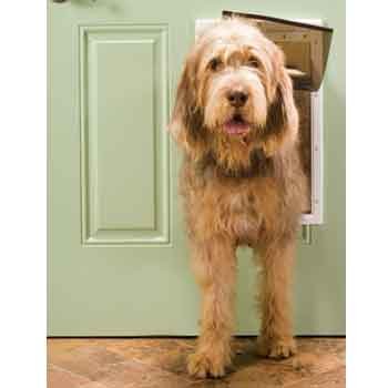 PetSafe Large Plastic Pet Door, Premium White
