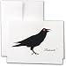 Black Raven Halloween Greeting Card