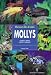 Mollys (Manuales Del Acuario) (Spanish Edition)