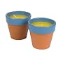 Lamplight Farms #3354 2PK TC Citronella Candle