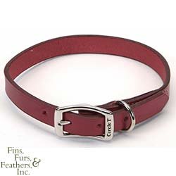 Coastal Pet Circle T Oak-Tanned Leather Town Dog Collar (Red, 22 Inch L x 1 Inch W)