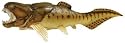Wild Safari Dunkleosteus