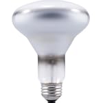 Satco S2808 65BR30/FL 65-Watts Flood BR30 Reflector Medium Base Frosted Incandescent Flood Light Bulb / 120V $3.25