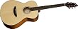 Breedlove Passport C200/SMP Guitar