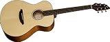 Breedlove Passport C200/SMP Guitar