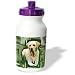 labrador26  - Dogs Labrador Retriever Labrador Retriever Water Bottles