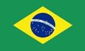 Brazil flag 3ft x 5ft Nylon - Outdoor