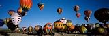 31oiNgiiTLL. SL160  Albuquerque International Balloon Fiesta, Albuquerque, New Mexico, USA Travel Photographic Poster Print by Panoramic Images , 8x24