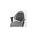 Travelon Cool Mesh Back Support System