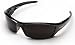 Edge Eyewear SR116 Reclus Safety Glasses, Black with Smoke Lens