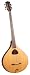 Search: Trinity College TM-675 Irish Bouzouki (Natural Finish)