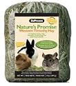 ZuPreem Nature's Promise Western Timothy Hay 40-oz bag