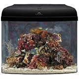 31ojH7AHdQL. SL160  Buy Saltwater Fish Tank