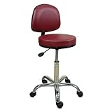 Professional Stool with Adjustable Backrest Color: Coal