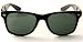 Classic Black Wayfarer with Pouch